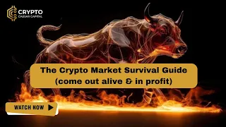 Bull Market Survival Guide