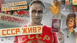 ☭ ГРАЖДАНЕ СССР | Как не платить кредит, налоги, ЖКХ и стать счастливым гражданином зомбилэнда