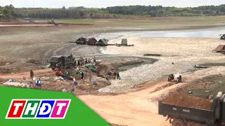 Đồng Nai: Hoàn thành vớt 200 tấn cá chết trên hồ Sông Mây | THDT