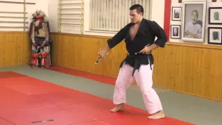 Kata - NICHO SAI - Matayoshi Kobudo