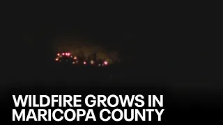Wildcat Fire: Latest on the fast-growing blaze