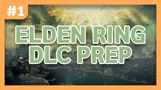 making a fresh account for the dlc!! | Elden Ring DLC Prep [1]