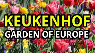 Keukenhof - Holland - Relaxing video from a Garden of Europe