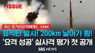 '한국형 사드' 요격 성공 영상 공개.. 200km 날아가 쾅! 국방부, 장거리 지대공유도무기(L-SAM) 2025년 양산 목표 / SBS