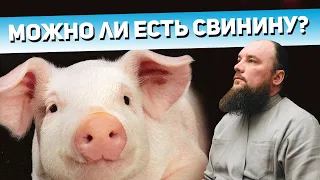 Можно ли есть свинину? Священник Максим Каскун