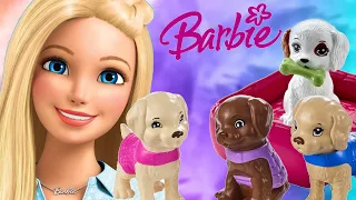 Rodzinka Barbie 💕 Schronisko i adopcja piesków 🐶 film z Barbie