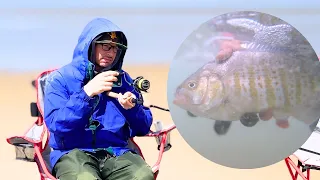 6 Mistakes New Surf Anglers Make