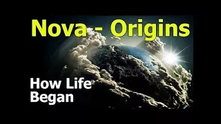 How Life Began Origins Nova Neil Degrasse Tyson