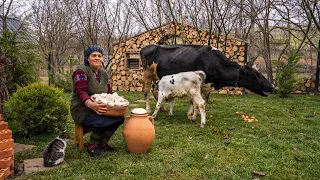 Homemade Organic Butter and Cottage Cheese from Fresh Milk