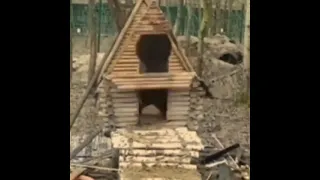 bear building a hut