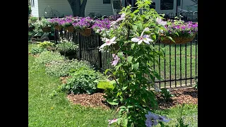 June Garden Tour Part 1