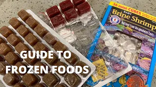 Beginners Guide To Frozen Fish Food