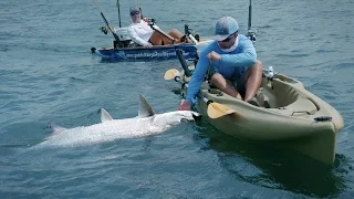 Kayak Fishing - Giant Tarpon and Jack Crevalles - 4K