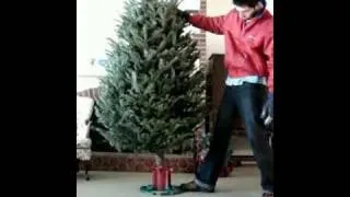 Fastest Christmas tree stand in the World! Crazy! Xmas tree set up under