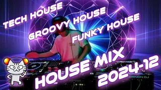 Tech House Groovy House & Funky House DJ Mashup Mix 2024-12 - Takker Sabashiro