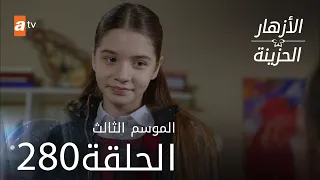 مسلسل الأزهار الحزينة | الحلقة 280 - الموسم الثالث