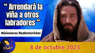 Evangelio de HOY domingo 8 de octubre.Mt 21,33-43. " Arrendará la viña a otros labradores ".