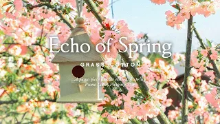A piano piece like the echoes of spring l GRASS COTTON+