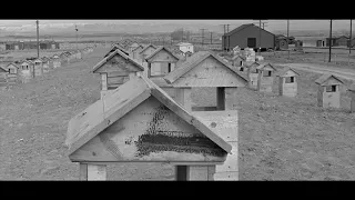 The Heart Mountain Root Cellar