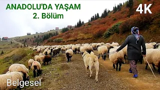 Anadolu'da Yaşam || Göç 2.Bölüm