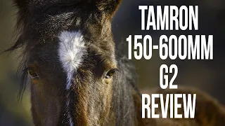 Tamron 150-600mm F/5-6.3 G2 | FULL REVIEW