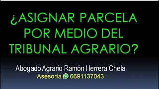 ¿Puede el Tribunal Agrario determinar la forma de asignar parcelas? / Consultas Whats/TEL 6691137043