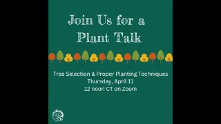 Plant Talk: Tree Selection and Proper Planting 4-11-24