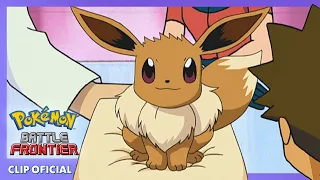 ¡Eevee eclosiona! | Pokémon: Battle Frontier | Clip oficial