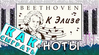 Как Играть К ЭЛИЗЕ на Пианино ЛЕГКО 🎹 Обучение Для Начинающих