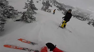 SNOWBIRD POWDER DAY- UTAH -FEB 3RD