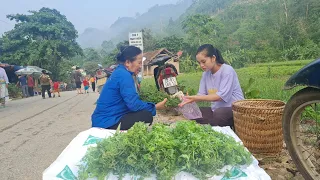 The life of a 17-year-old single mother picking wild vegetables to sell at the market
