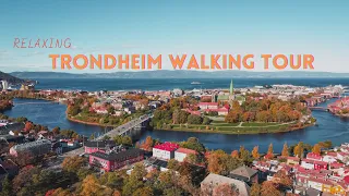 DU LỊCH NAUY: THÀNH PHỐ TRONDHEIM | Relaxing Virtual walking Tour