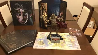 Divinity: Original Sin 2 Collector's Edition Unboxing