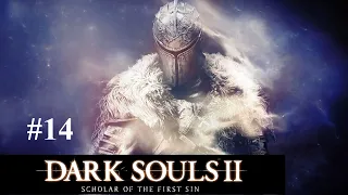 Земляной Пик. Железная Цитадель. Боссфайты [Dark Souls 2 Scholar of the First Sin #14]