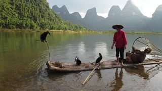 Der Kormoranfischer von Guilin