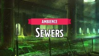 Sewers | D&D/TTRPG Ambience | 1 Hour