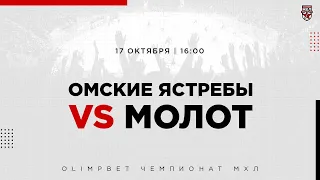 17.10.2022. «Омские Ястребы» – МХК «Молот» | (OLIMPBET МХЛ 22/23) – Прямая трансляция