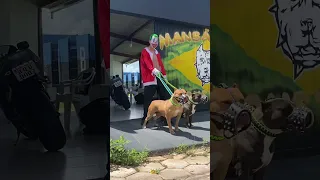 Coringa veio trazer seu presente de natal