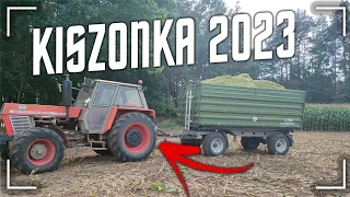 Kiszonka Z Kukurydzy 2xMcCormick I Zetor W Odwozie, Uprawa Oraz Orka Po Kukurydzy Plon Zadowalający