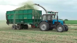 Заготовка сенажа в Бобруйском районе