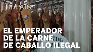 Jan Fasen, el emperador de la carne de caballo ilegal | España
