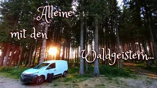 Alleine im Minicamper durch den mystischen Schwarzwald Vanlife mit Keltischer Harfe