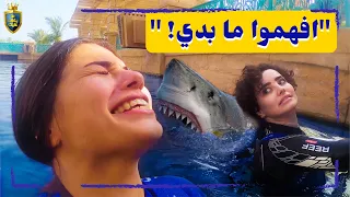 !اجبرنا كارولين تحدي مخاوفها من اسماك القرش😮 وردة فعلها