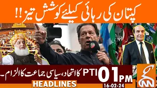 PTI Lawyer Start Effort For Imran Khan Release  | News Headlines | 01PM | 16 February 2024 | GNN