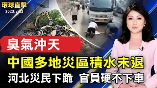 中國多地災區積水未退 臭氣沖天；河北災民下跪 官員硬不下車；覺醒與自救 多倫多聲援4億2千萬人退出中共；紐約41屆印度日遊行 法輪大法團體共襄盛舉【 #環球直擊 】｜ #新唐人電視台