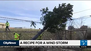 GTA conditions were recipe for a ‘perfect’ wind storm