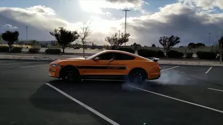 2019 Mustang EcoBoost - Line Lock Feature Using Track Apps - Burn Outs