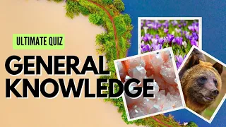 Fun Quiz : The Ultimate Trivia Questions General Knowledge #trending