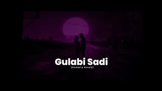 GULABI SADI ( SLOWED+REVERB)