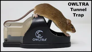 Highly Recommended - A great New Mousetrap - The Owltra Tunnel Snap Trap - Mousetrap Monday